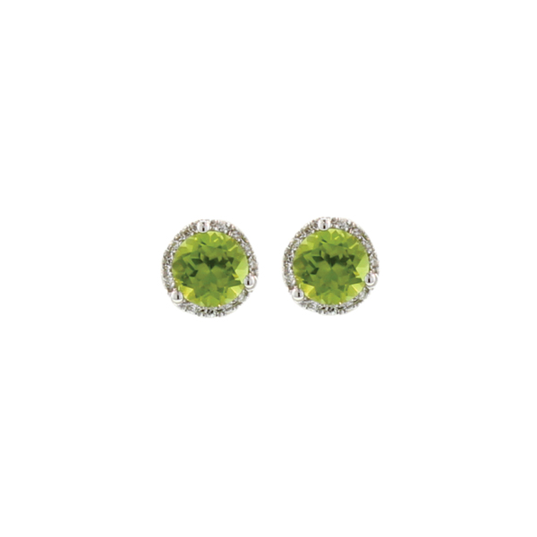 EAR1731 7