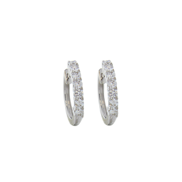 EAR1731 1